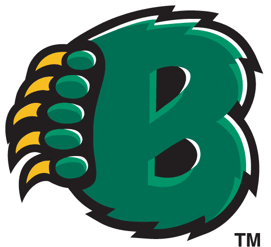 Baylor Bears 1997-2004 Alternate Logo 02 Print Decal